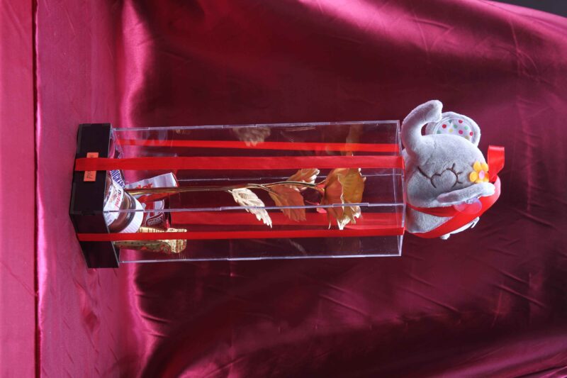 Nimamim Studio Photography & Videography - Farokhi Gold (2)