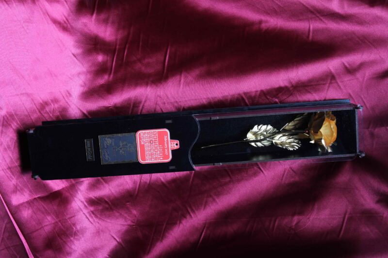 Nimamim Studio Photography & Videography - Farokhi Gold (3)