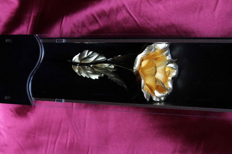 Nimamim Studio Photography & Videography - Farokhi Gold (5)