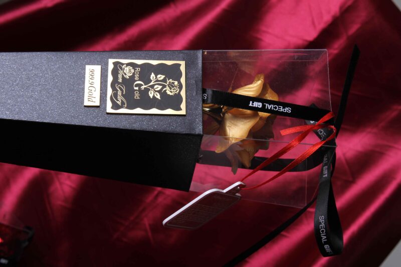 Nimamim Studio Photography & Videography - Farokhi Gold (6)